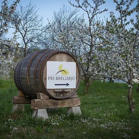 Pri Bregarju Podsabotin