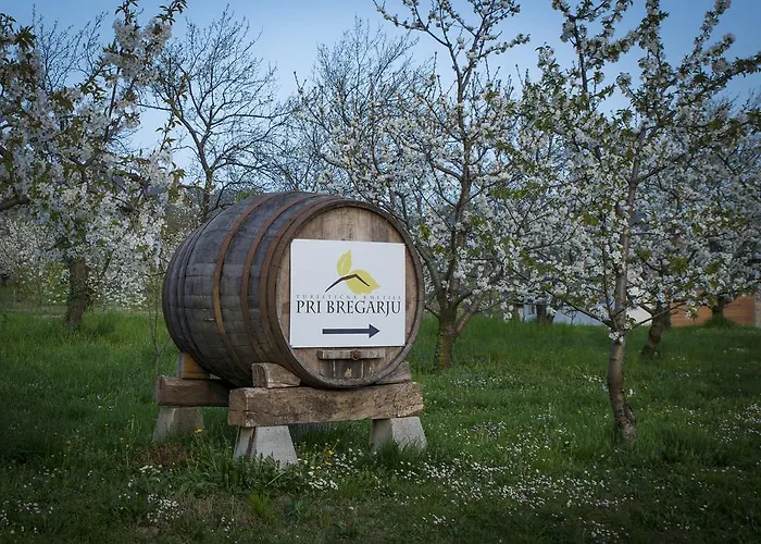 Pri Bregarju Podsabotin